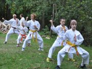 Goju Kai Karate
