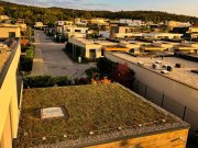 SkyGardens - zelené strechy 2