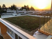 SkyGardens - zelené strechy 3