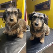 Trimovanie Bratislava