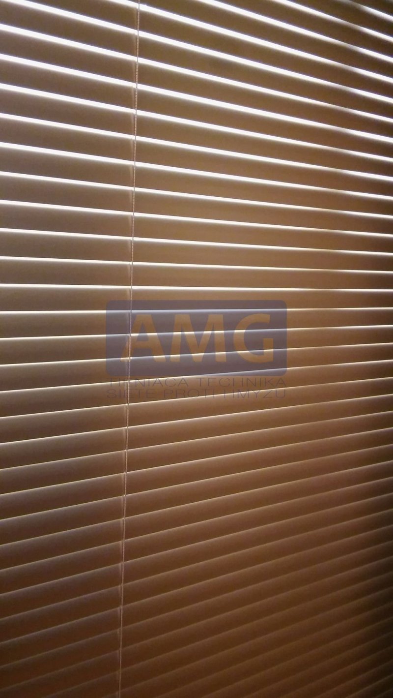 AMG STUDIO - recenzie, referencie, skúsenosti