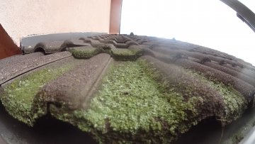 bezmachu.sk - recenzie, referencie, skúsenosti