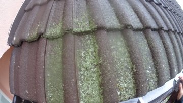 bezmachu.sk - recenzie, referencie, skúsenosti