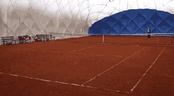 tenis